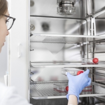 labor, forscherin, brutschrank